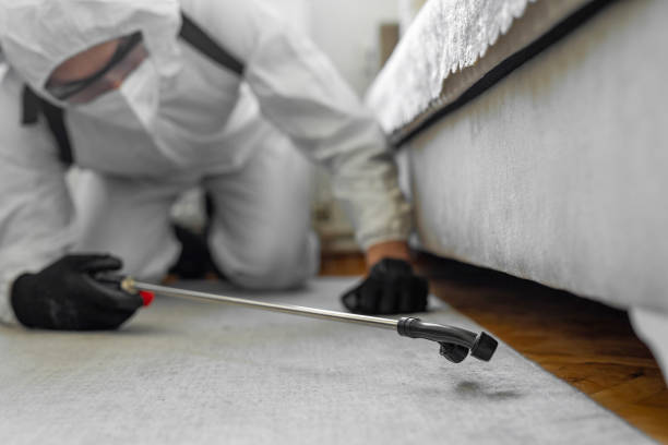 Professional Bed Bug Control technician working in Okaloosa County County, FL